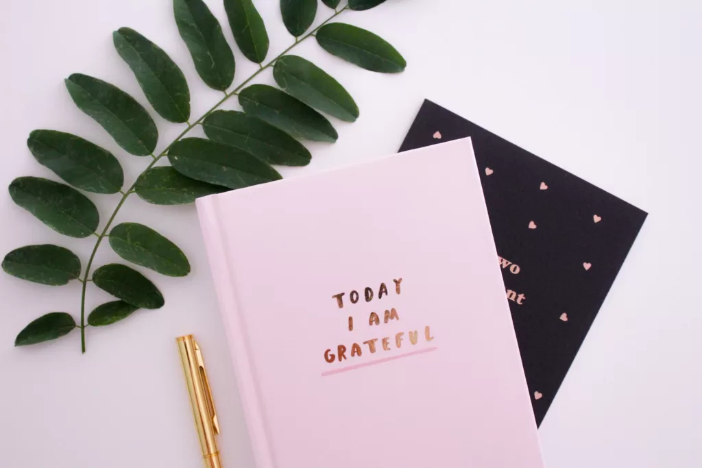 Pink Gratitude Journal